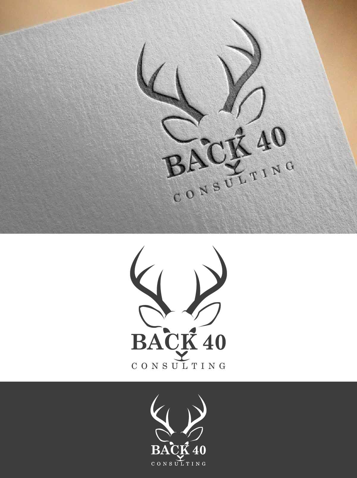 Logo Design by fly  design for Back 40 Consulting | Design #29062274