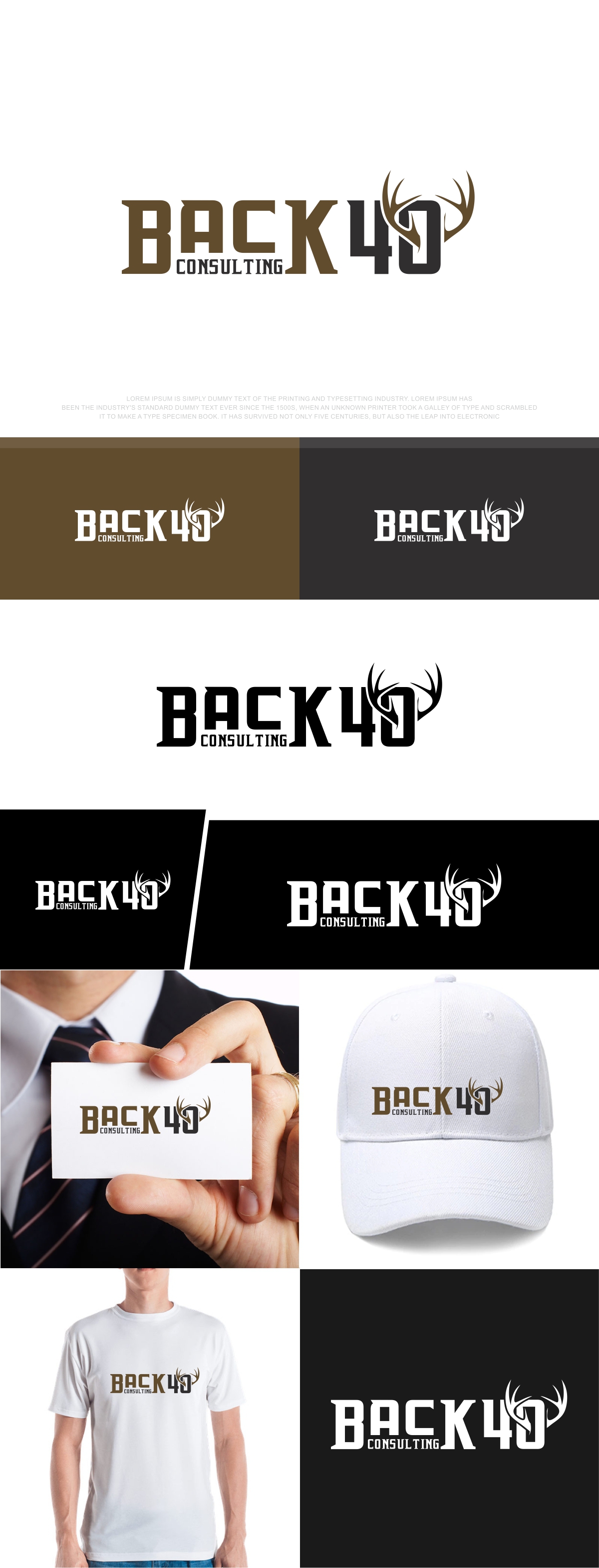 Logo Design by fly  design for Back 40 Consulting | Design #29062376
