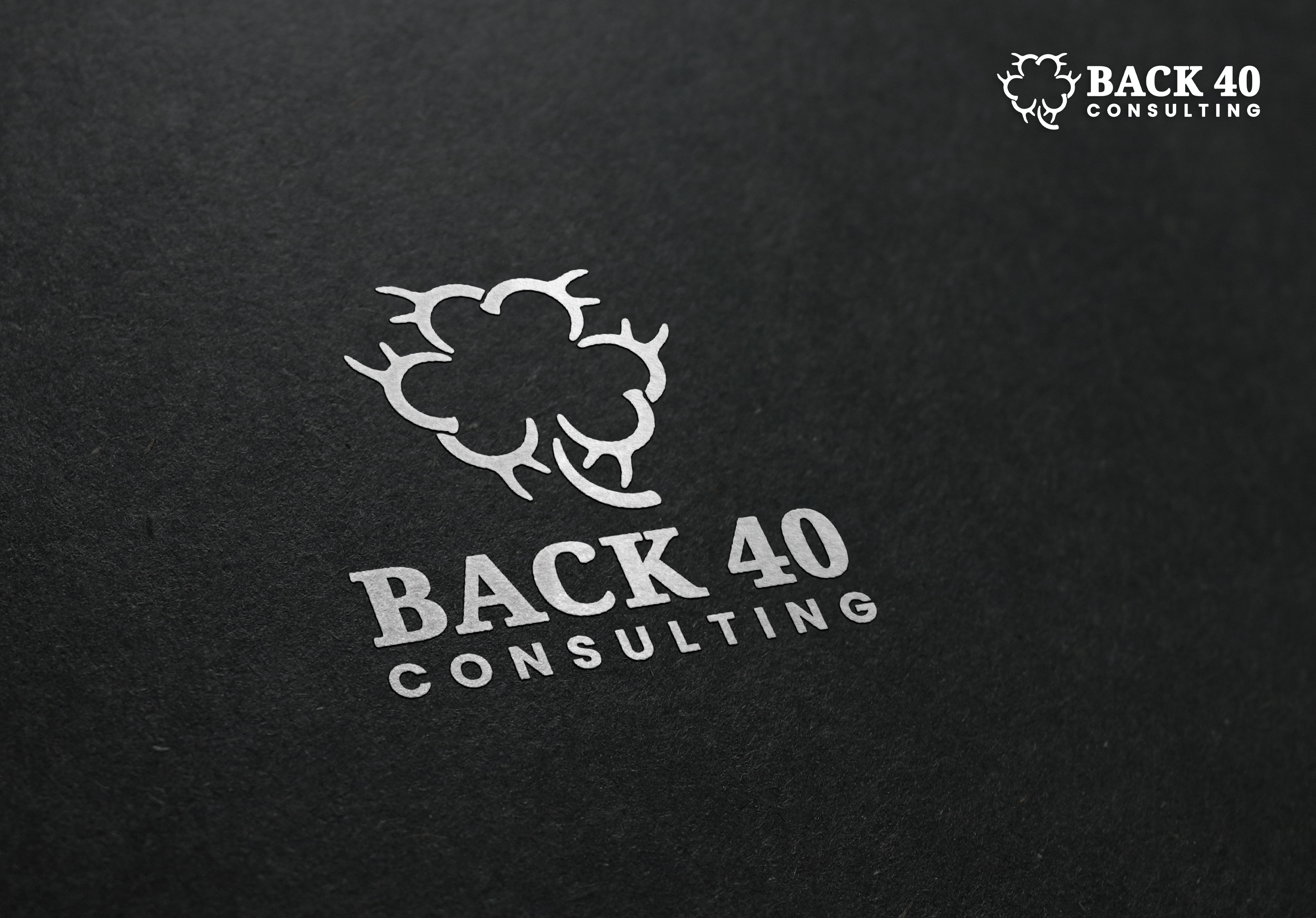 Logo-Design von aquabomb26 für Back 40 Consulting | Design #29059750
