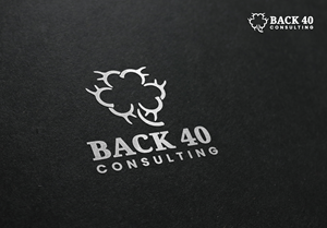 Logo Design by aquabomb26 for Back 40 Consulting | Design #29059750