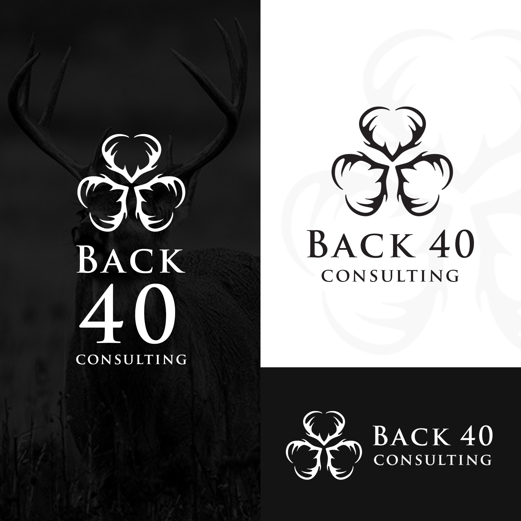 Logo Design by Neelam Jahagirdar for Back 40 Consulting | Design #29094983