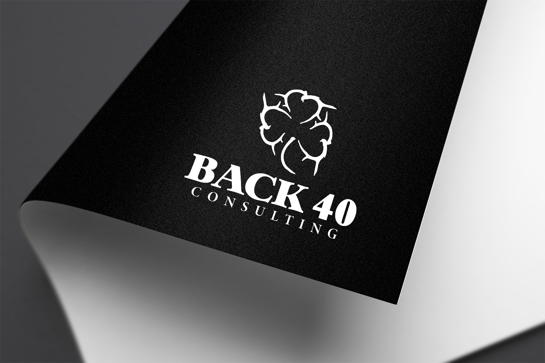 Logo Design by gauravgraphy for Back 40 Consulting | Design #29075873