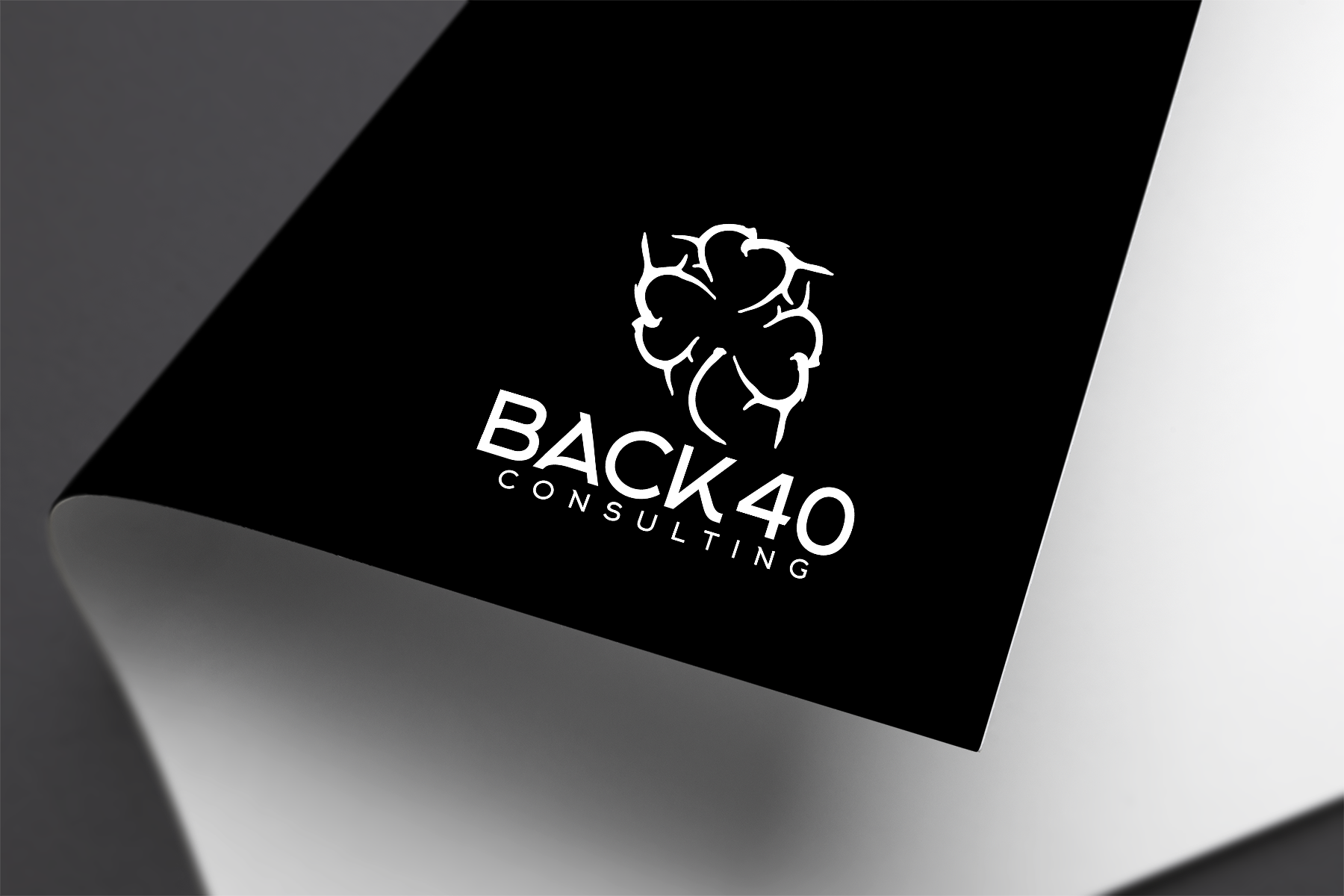 Logo Design by gauravgraphy for Back 40 Consulting | Design #29075912