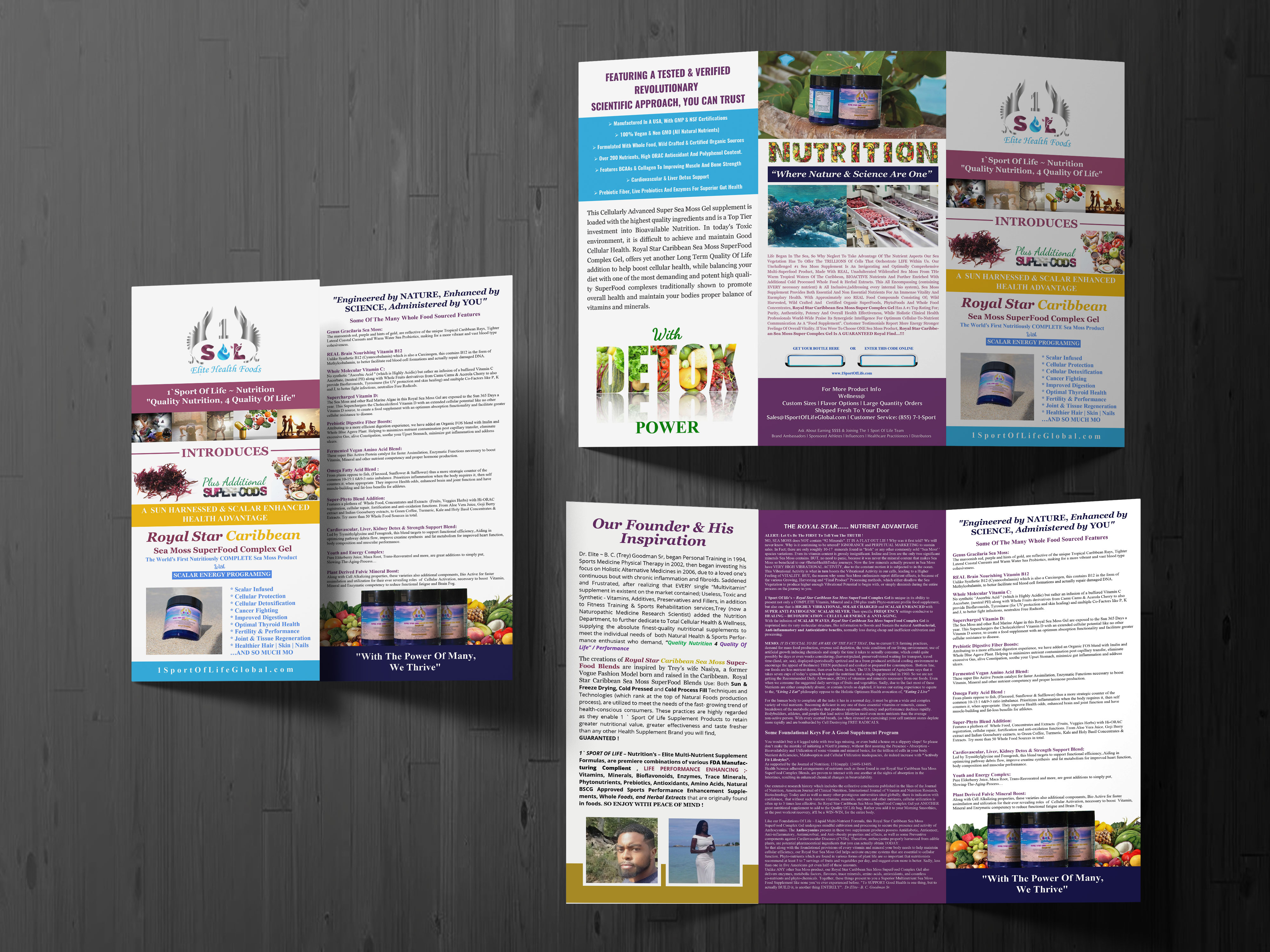 Brochure Design by artbitin for 1 Sport Of Life Global Inc | Design #29066133