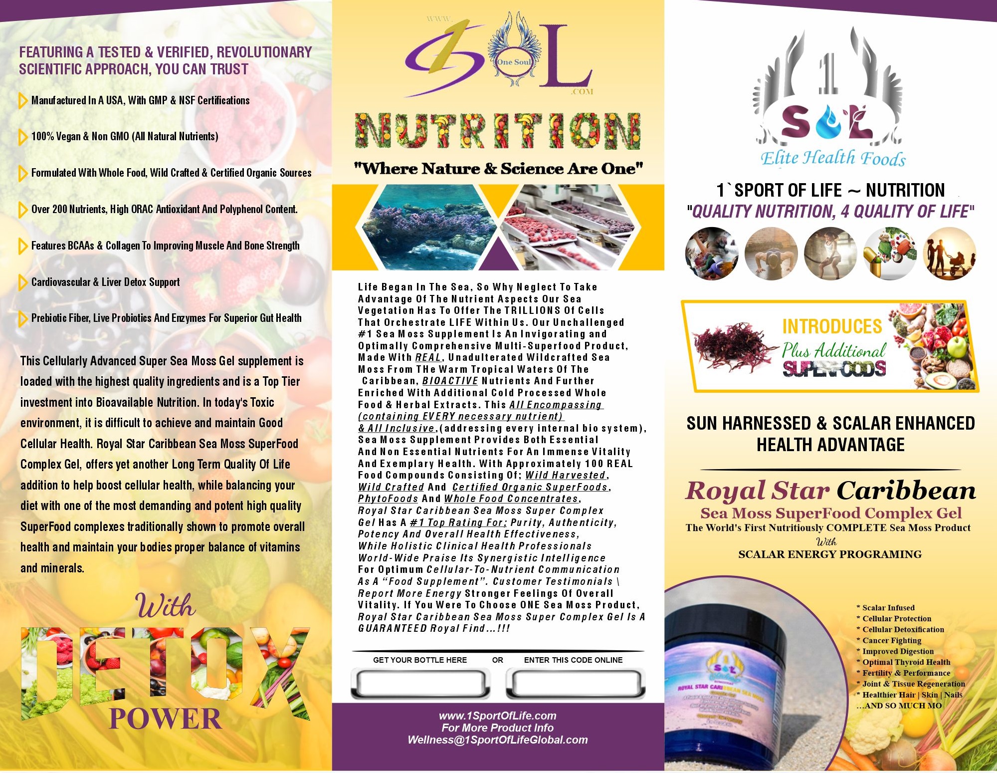 Brochure Design by 3Guys for 1 Sport Of Life Global Inc | Design #29067774