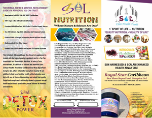 Broschüren-Design von 3Guys für 1 Sport Of Life Global Inc | Design: #29067774