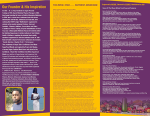 Broschüren-Design von 3Guys für 1 Sport Of Life Global Inc | Design: #29067775