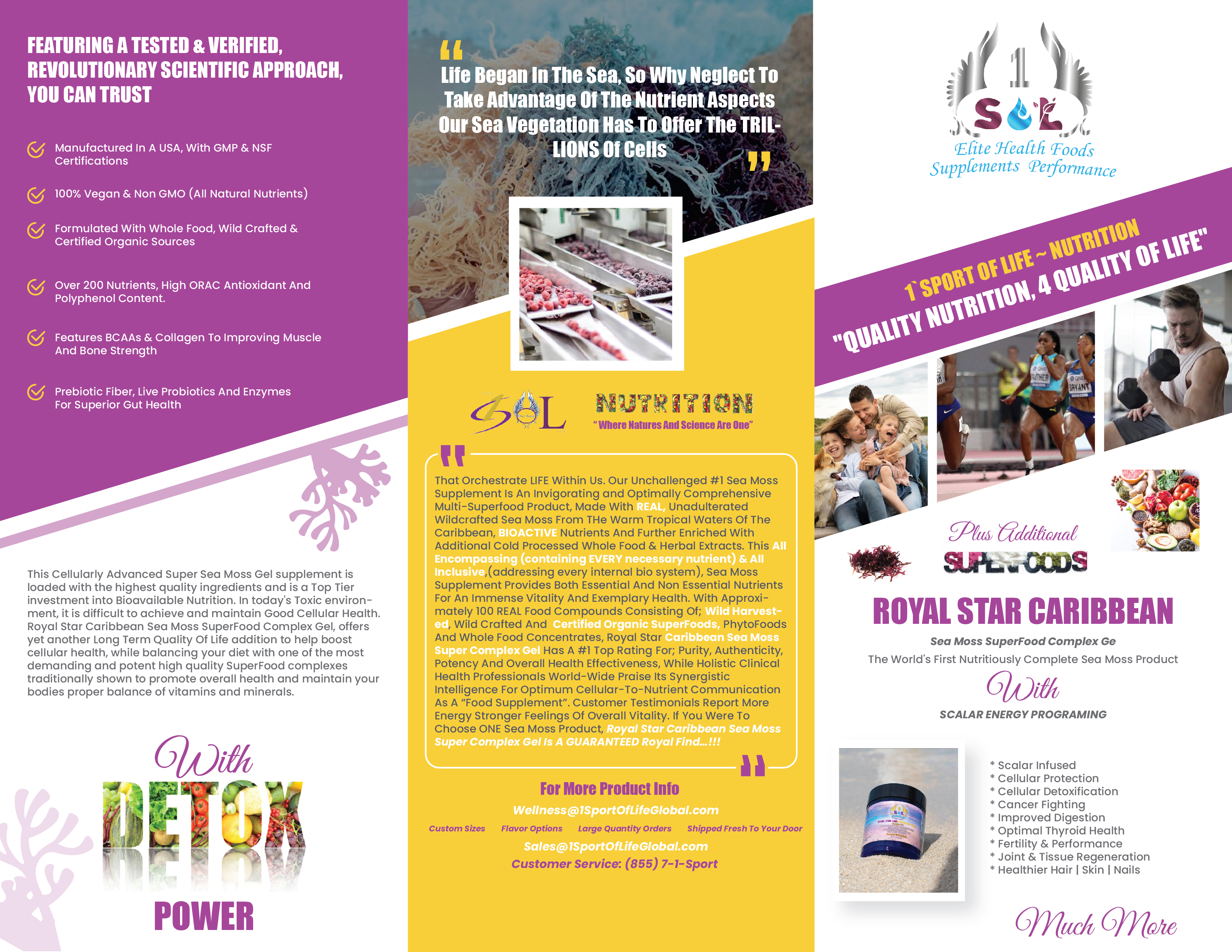 Brochure Design by 3Guys for 1 Sport Of Life Global Inc | Design #29068429