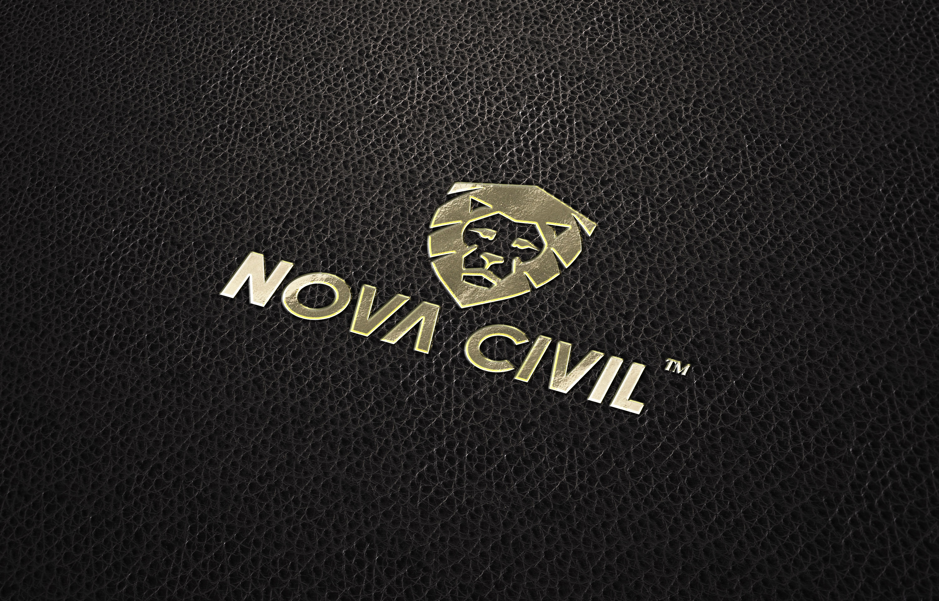 Logo-Design von ILLUSTRATOR PRO für dieses Projekt | Design #29097390