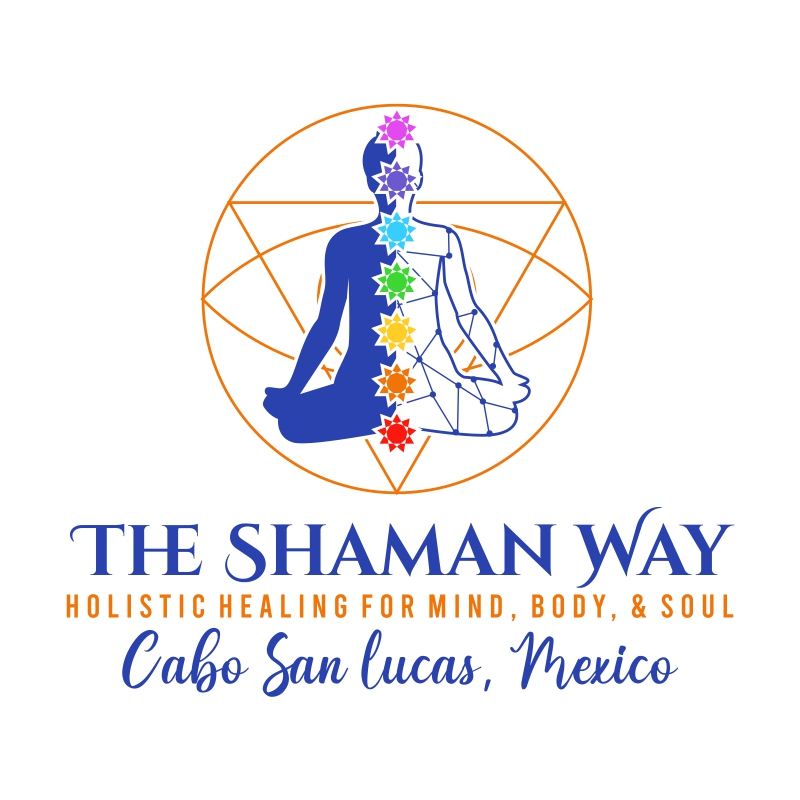 Logo Design by fly  design for this project | Design #29229722