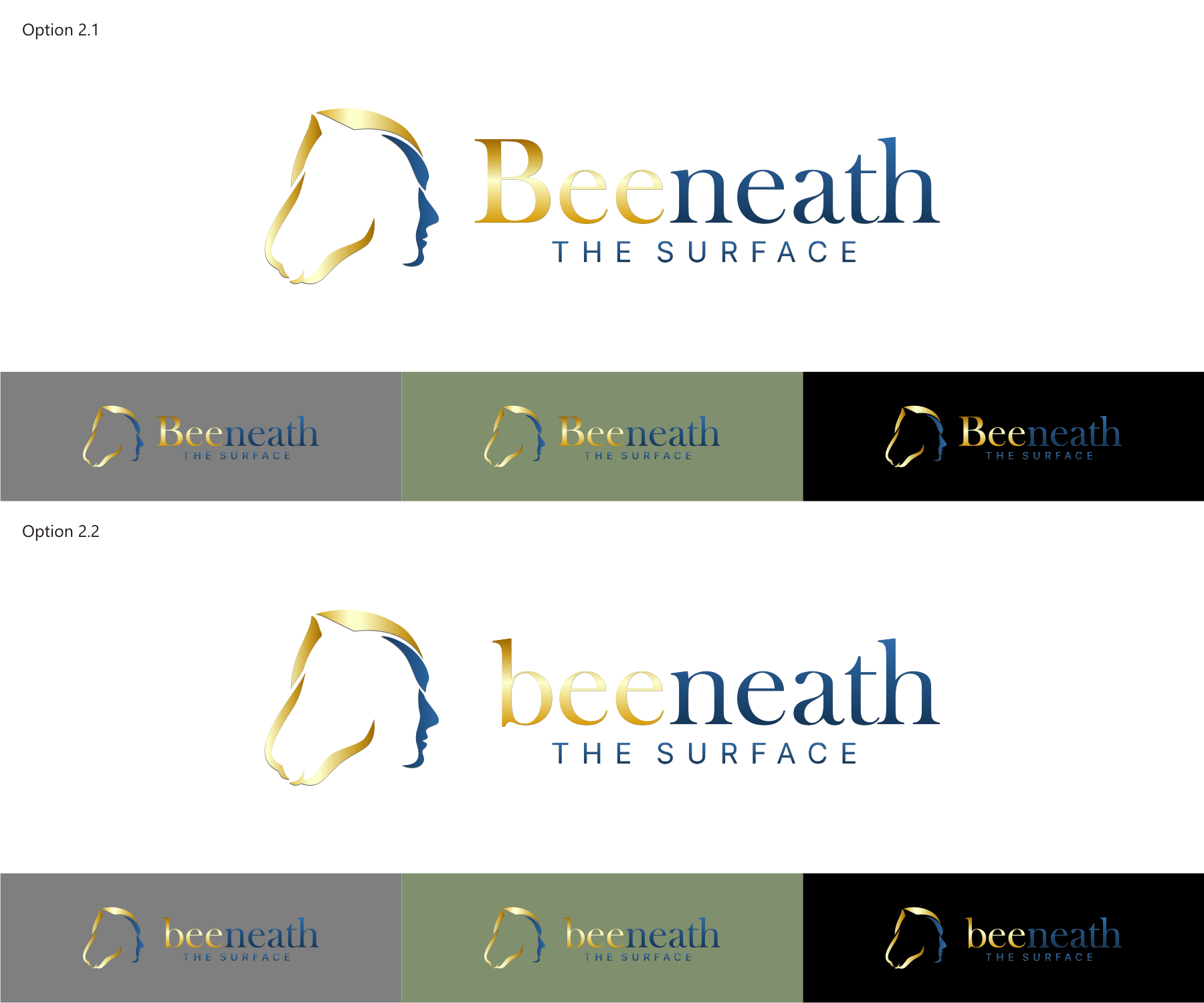 Logo Design by R16 for this project | Design #29328254