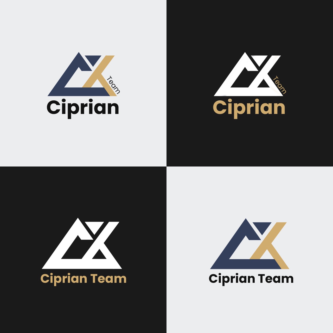 Diseño de Logo por 2logix para este proyecto | Diseño #29087474