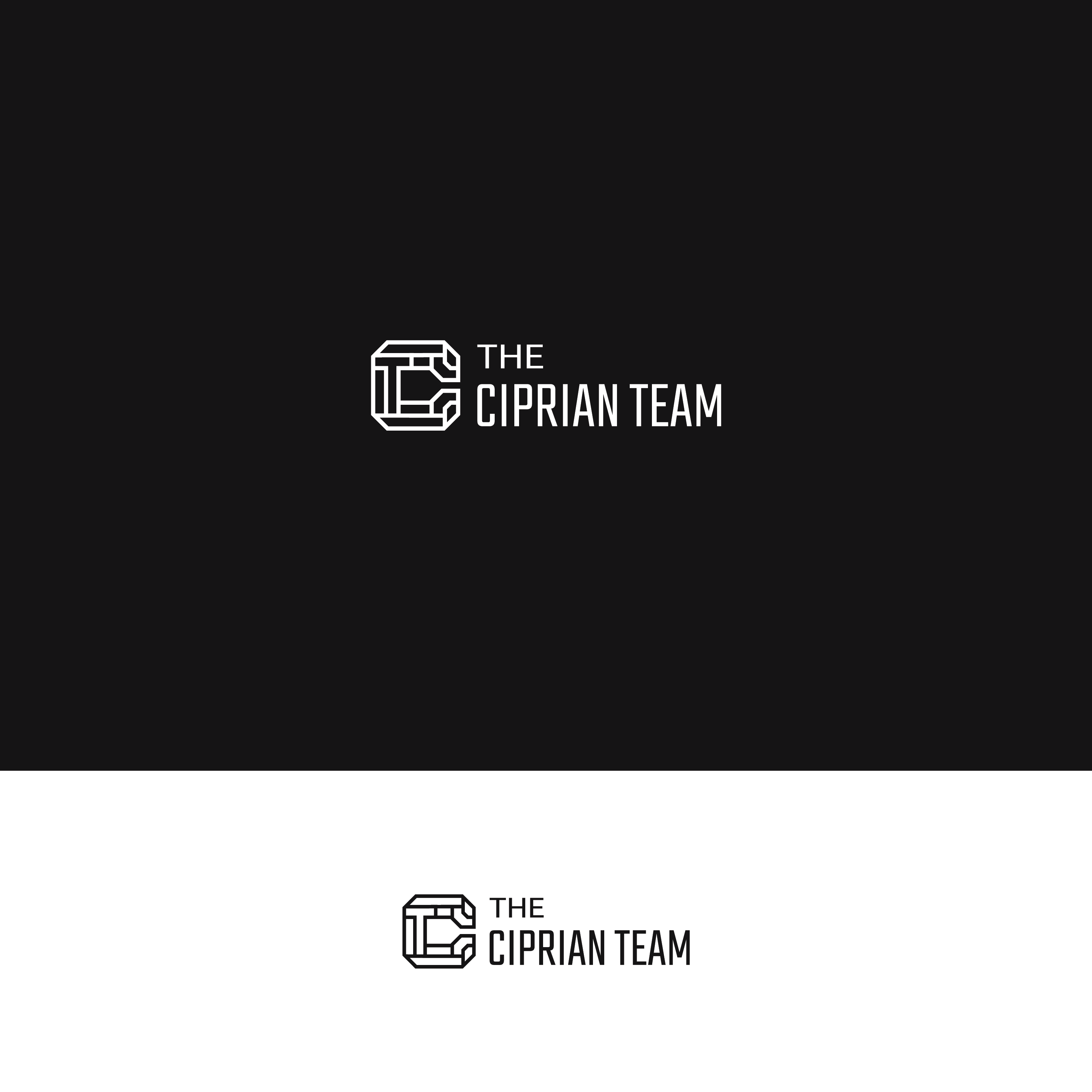 Diseño de Logo por Verified artistry para este proyecto | Diseño #29085768