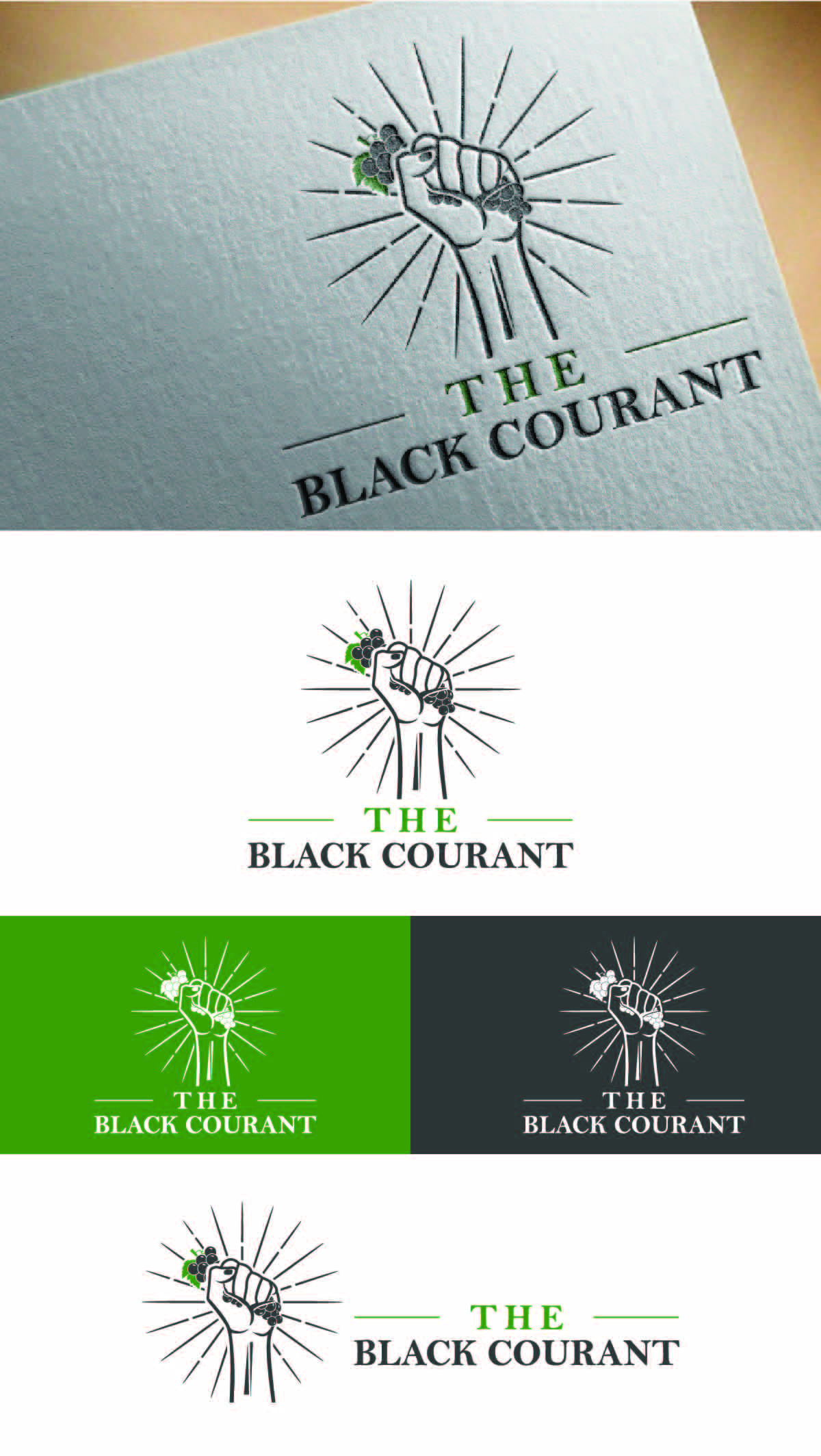 Logo Design by fly  design for this project | Design #29074531