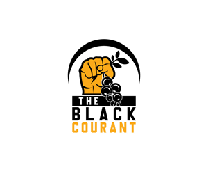 Logo Design by Ansh Design for this project | Design: #29075762