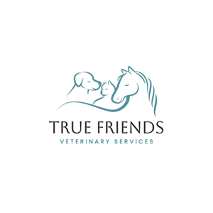 Diseño de Logo por Franabanana para este proyecto | Diseño: #29075925