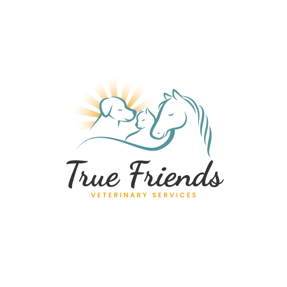 Diseño de Logo por Franabanana para este proyecto | Diseño #29079142