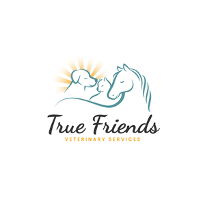 Diseño de Logo por Franabanana para este proyecto | Diseño: #29079142