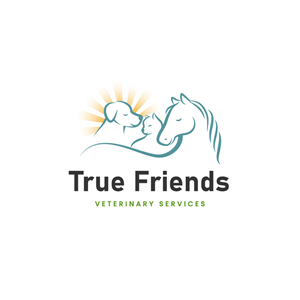 Diseño de Logo por Franabanana para este proyecto | Diseño: #29085628