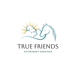 Diseño de Logo por Franabanana para este proyecto | Diseño: #29091502