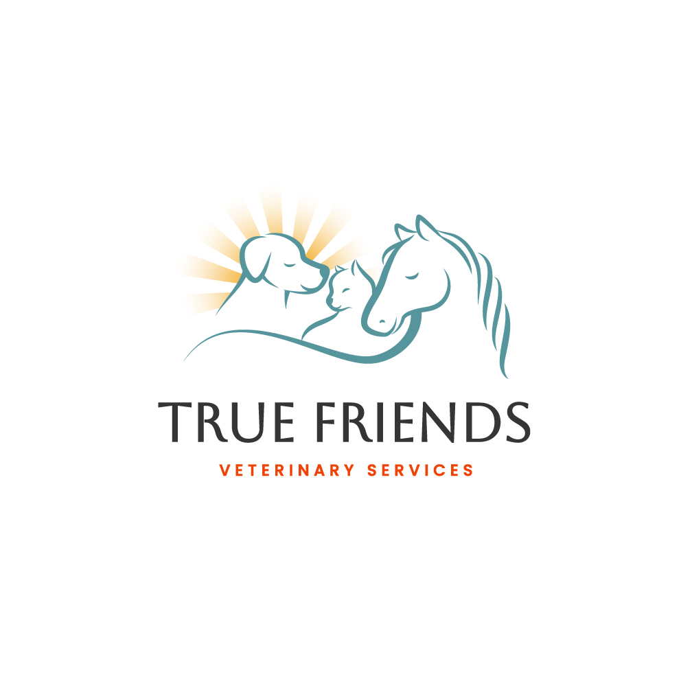 Diseño de Logo por Franabanana para este proyecto | Diseño #29091528