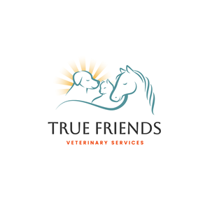 Diseño de Logo por Franabanana para este proyecto | Diseño: #29091528