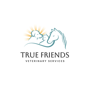 Logo Design by Franabanana