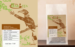 Packaging Design by adjeiiBlack