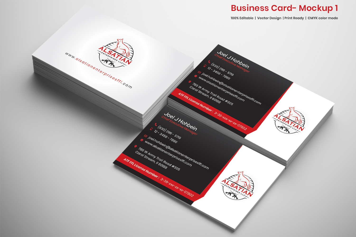 Business Card Design by Expert Designer for Alsatian Enterprises LLC  | Design #29142582