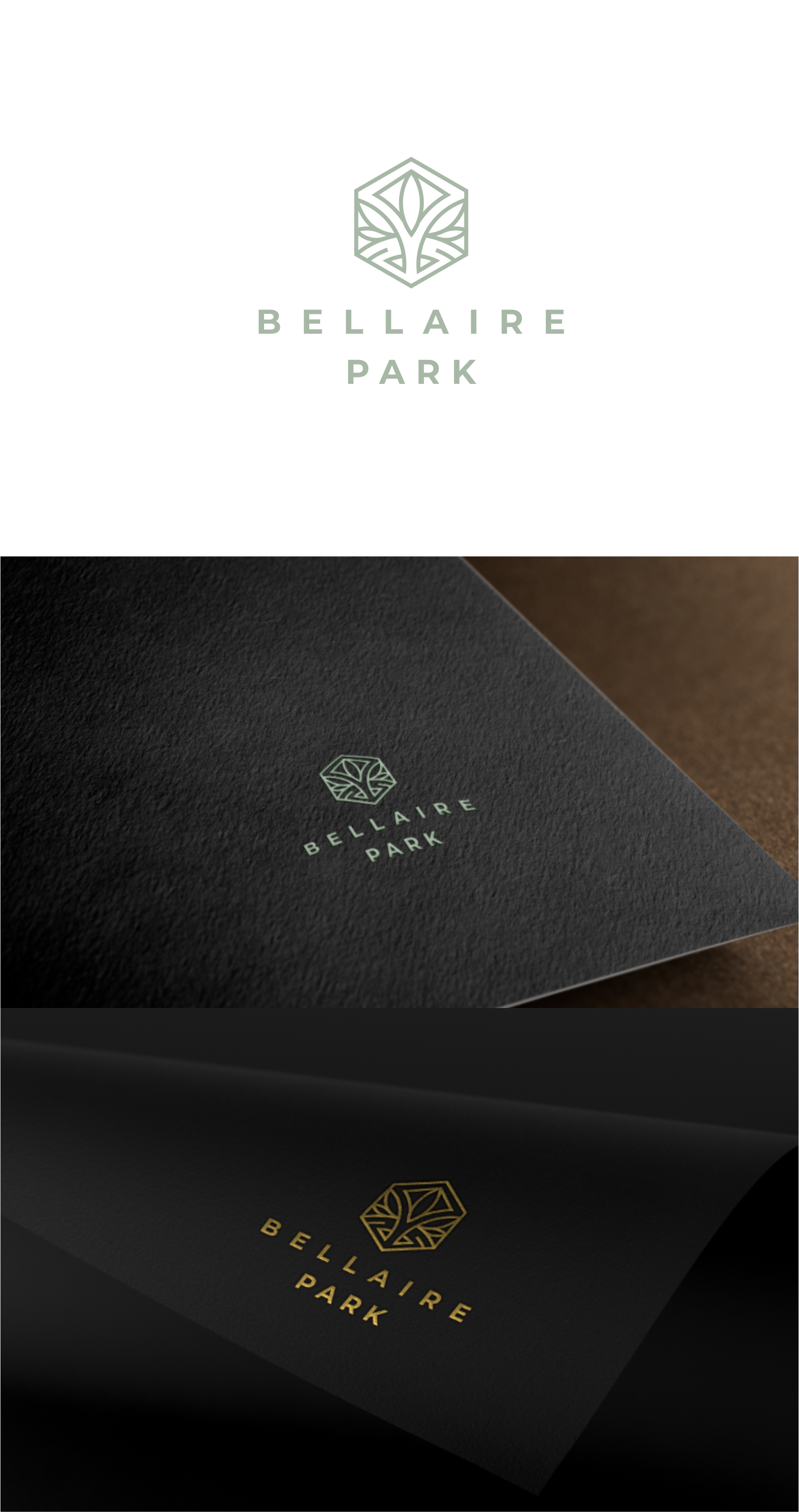 Logo Design by *mary for Padthaway Caravan Park | Design #29080544