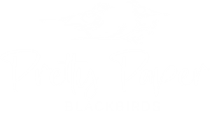 Logo Design by artisan bee 2022 for this project | Design: #29109153