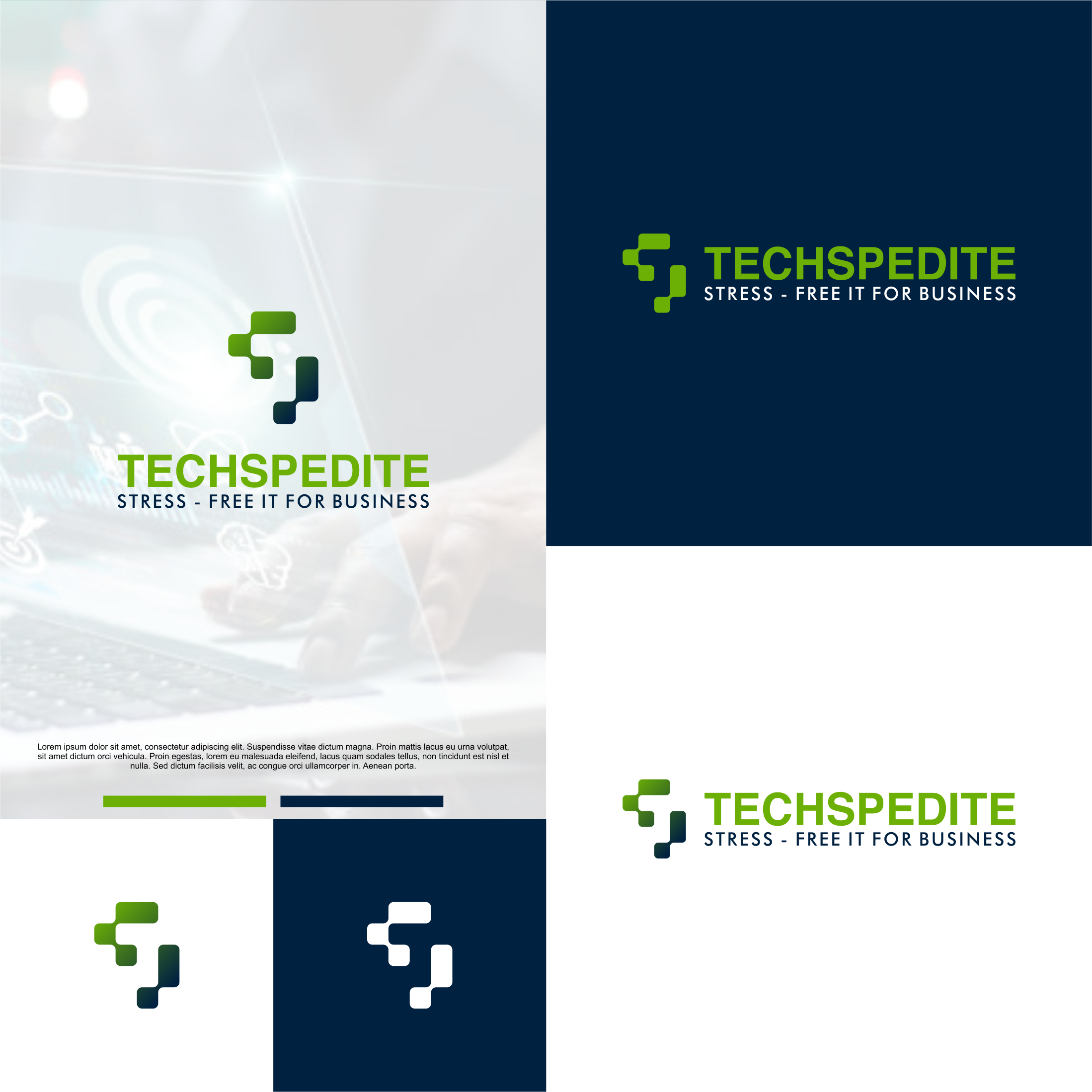 Diseño de Logo por Nembelas Studio para Big Fish Computers | Diseño #29097715