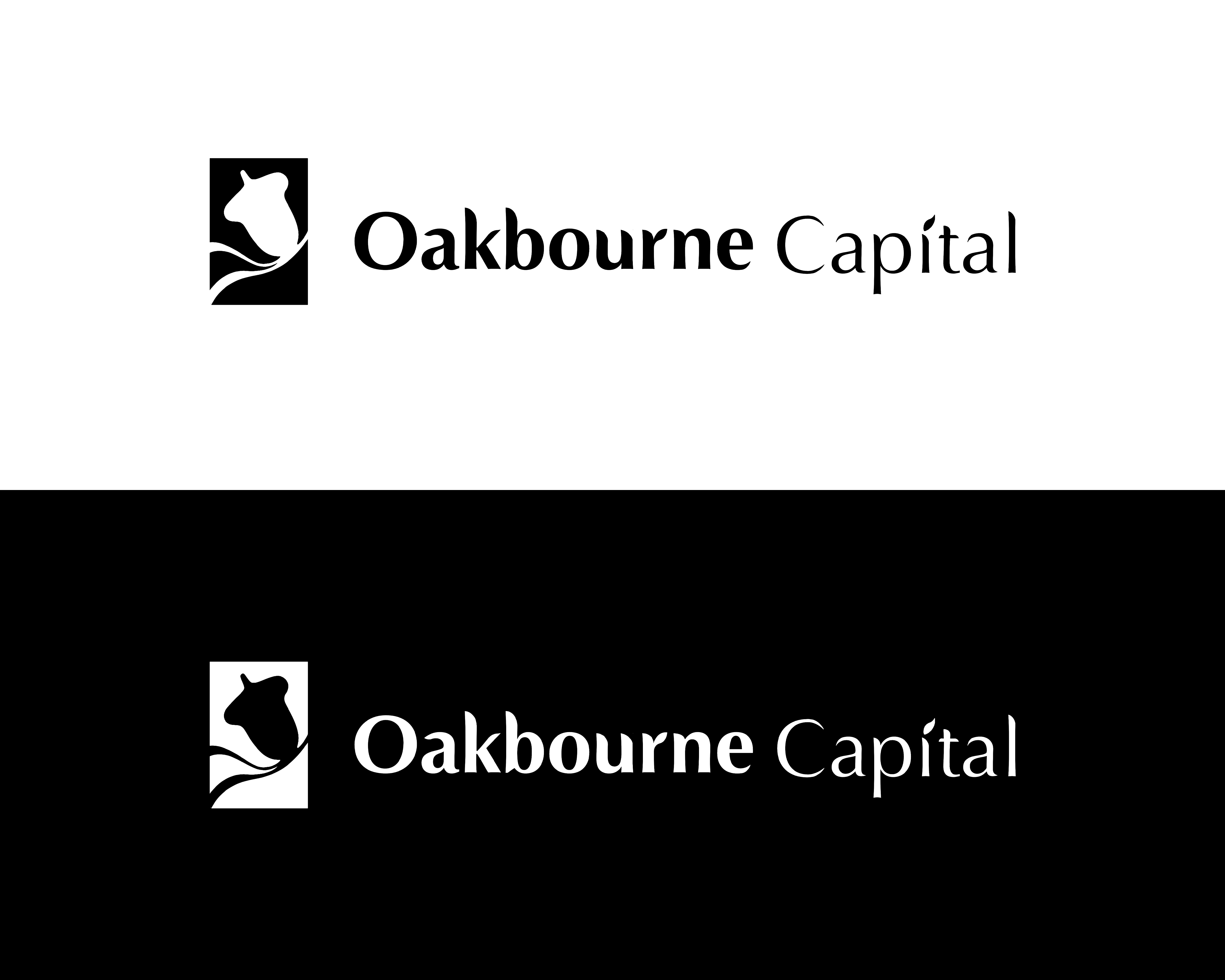 Diseño de Logo por ELAMANTS para este proyecto | Diseño #29120420