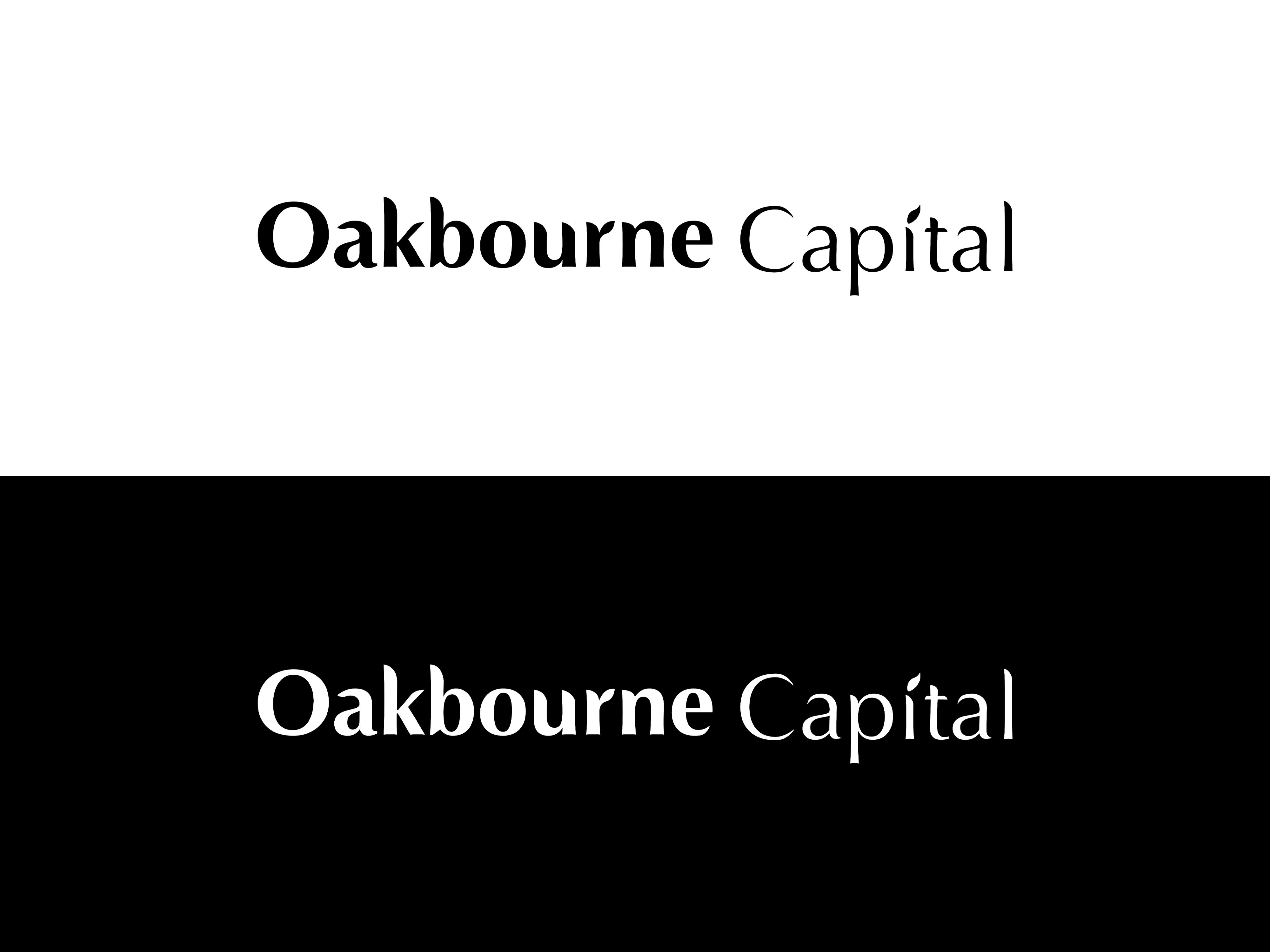 Diseño de Logo por ELAMANTS para este proyecto | Diseño #29120421