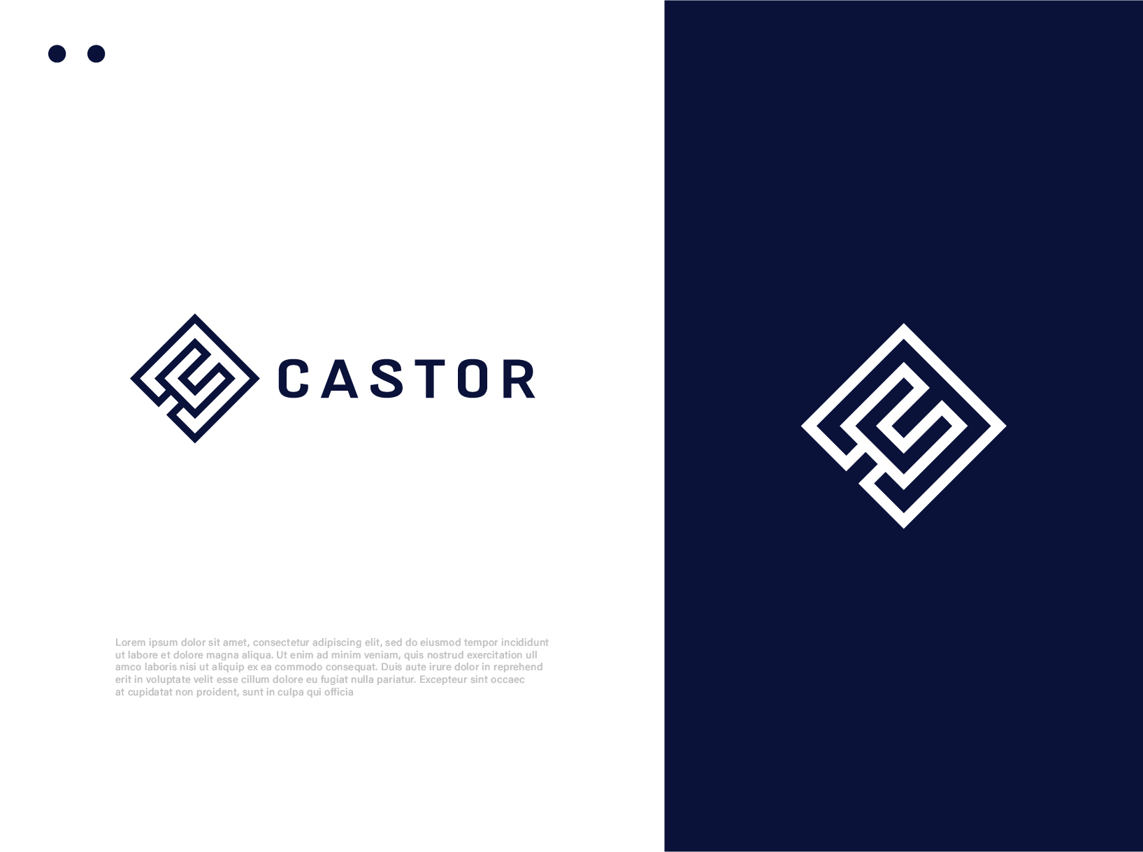 Logo Design by wegent editz for this project | Design #29115876