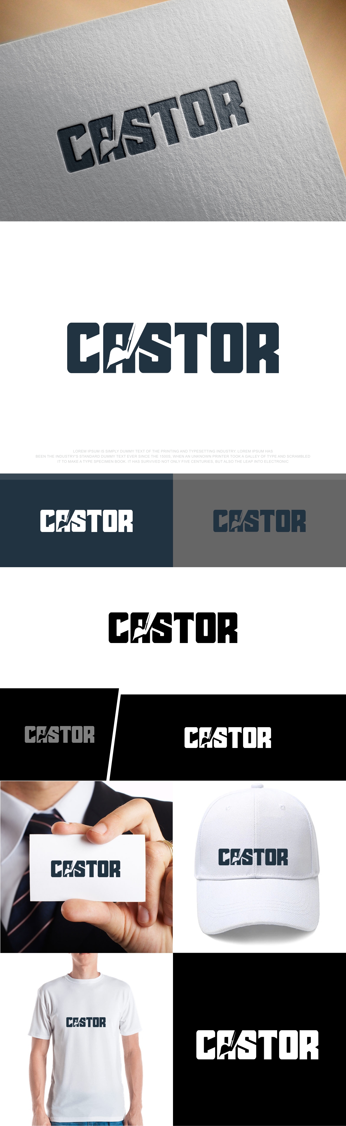 Logo Design by fly  design for this project | Design #29094835