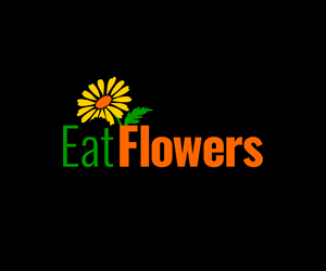 Logo Design by NancyTan for this project | Design: #29096010