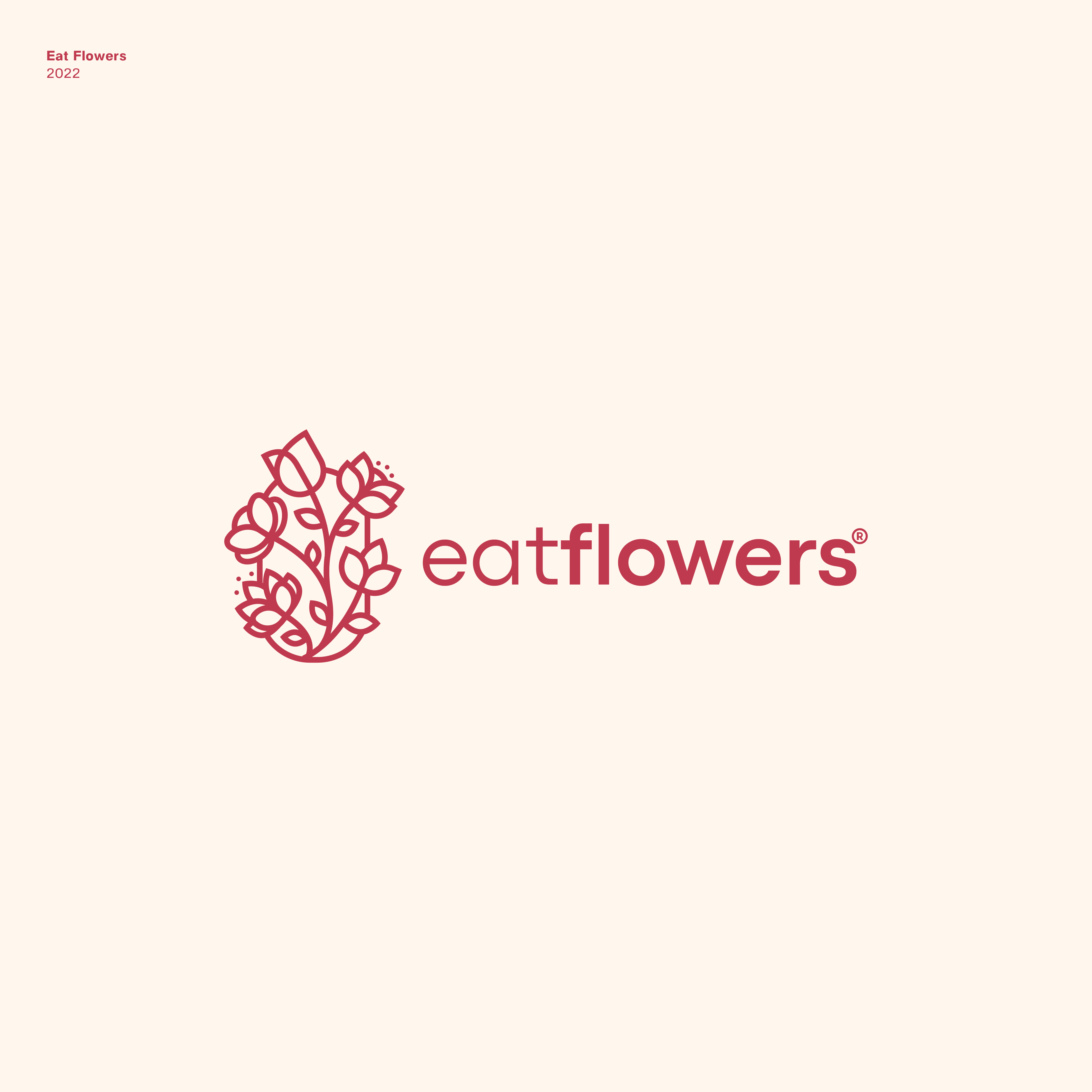 Logo-Design von JBalloon Design für dieses Projekt | Design #29102901