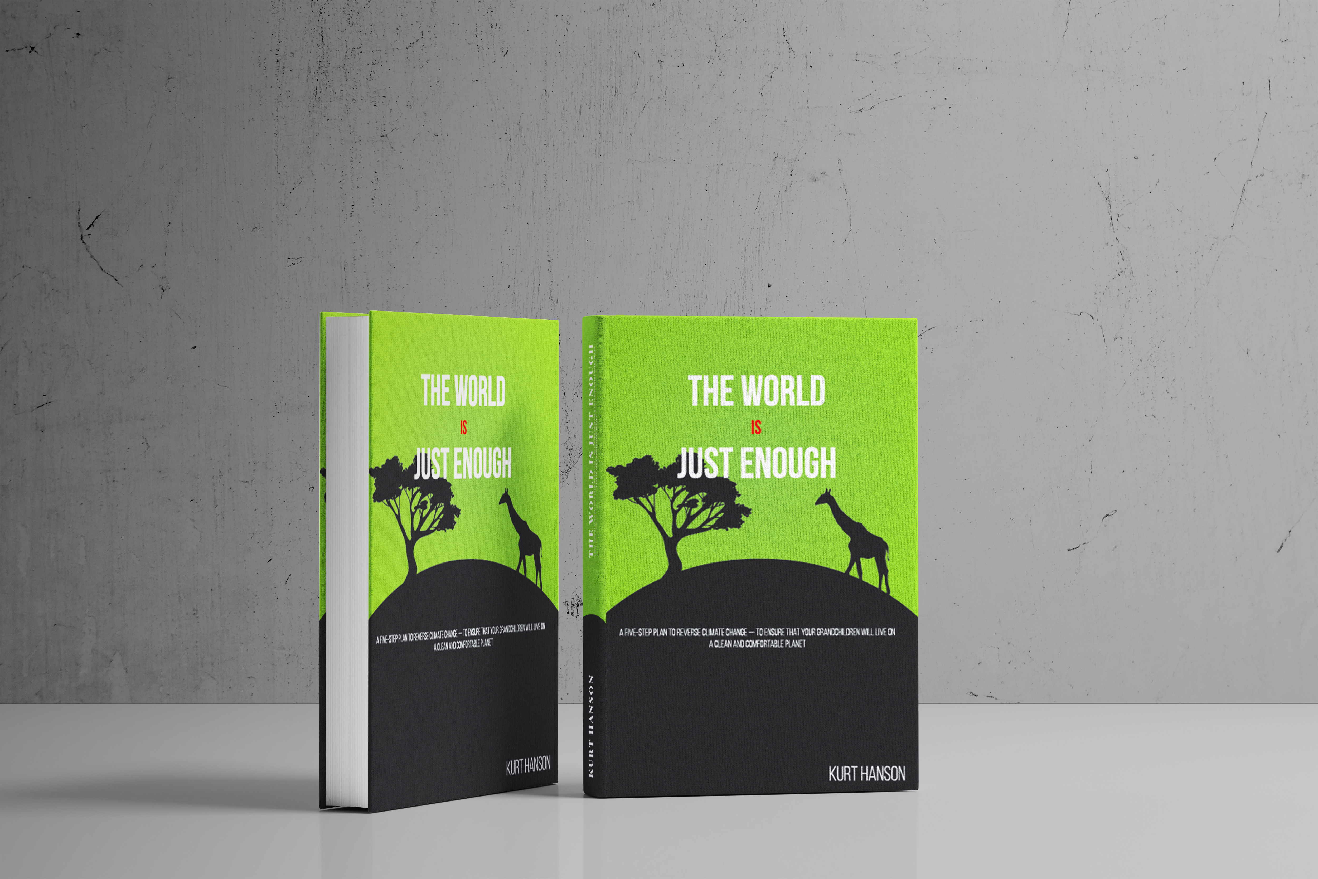 Book Cover Design by Tharindu Gomas for AccuRadio | Design #29133461