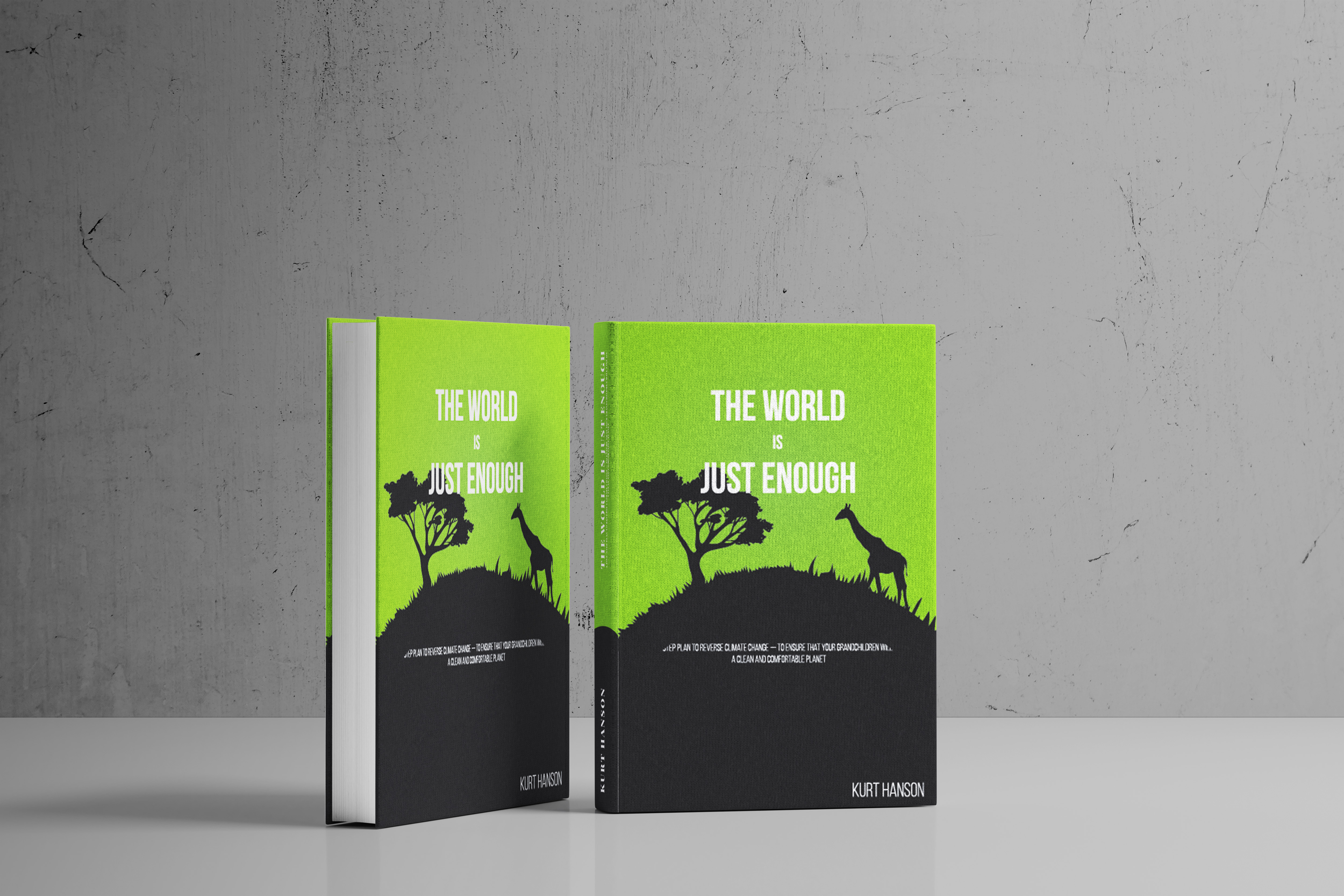 Book Cover Design by Tharindu Gomas for AccuRadio | Design #29133524