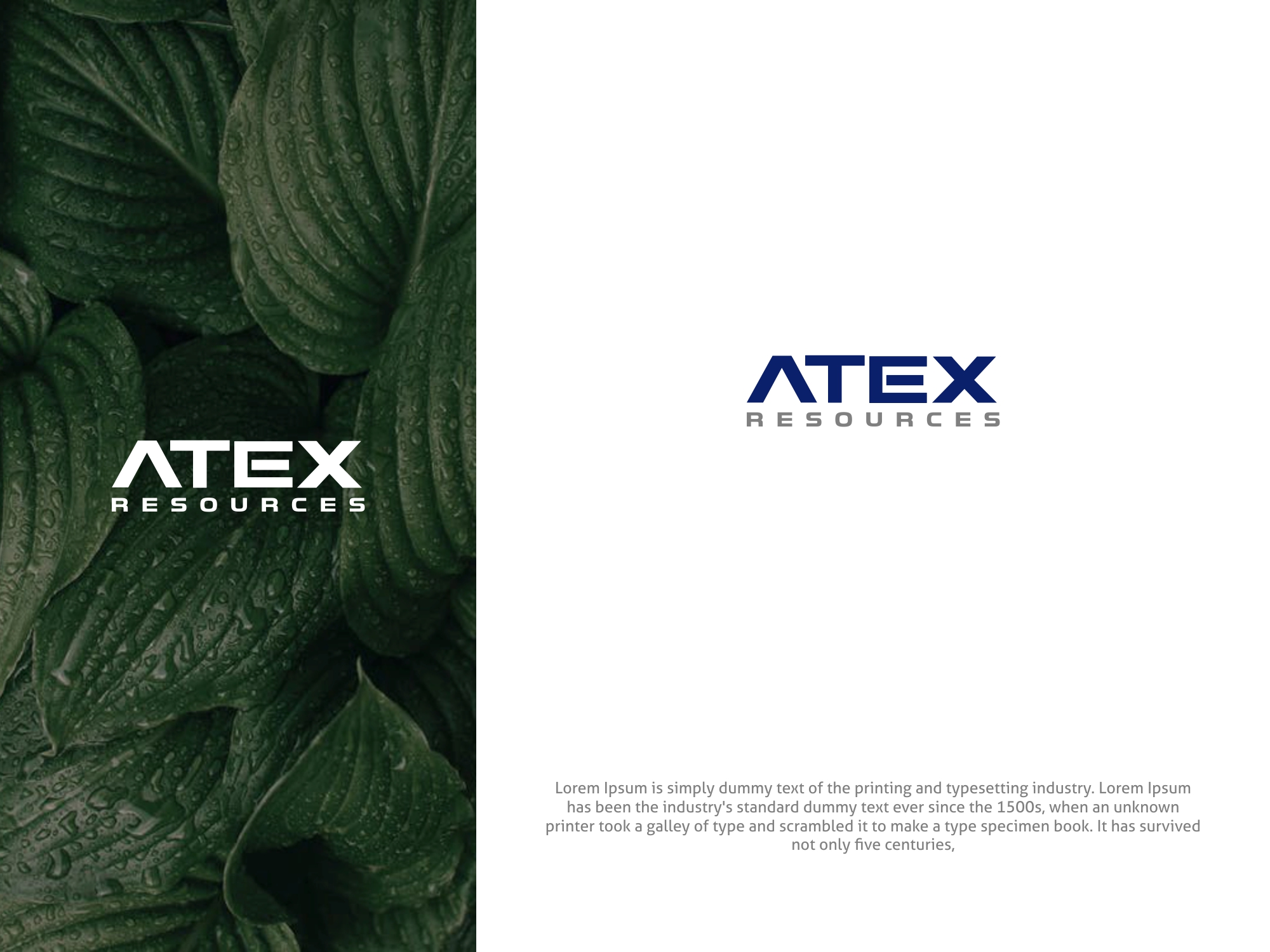 Logo Design by MX LogoArt for this project | Design #29117704