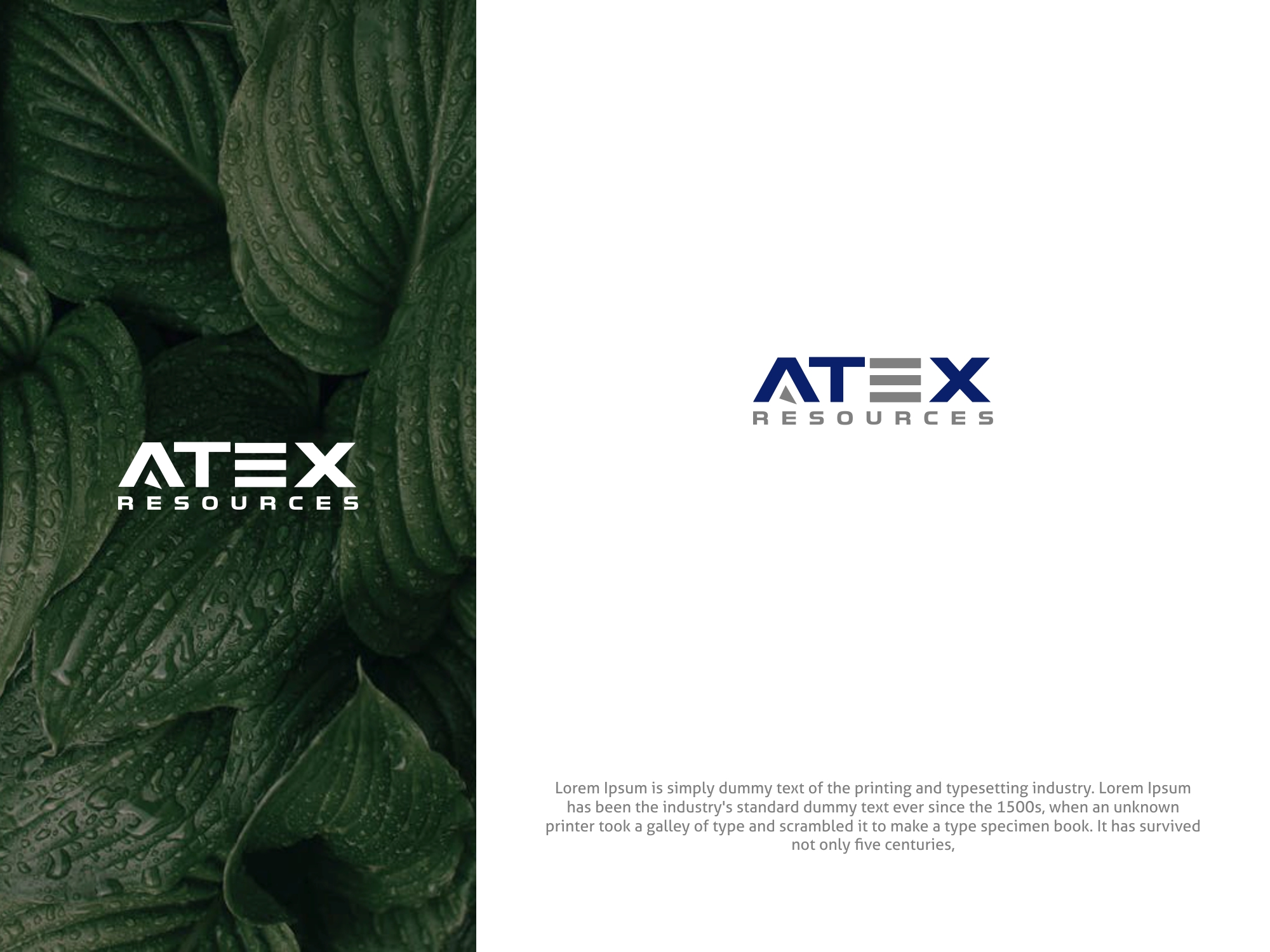 Logo Design by MX LogoArt for this project | Design #29117705