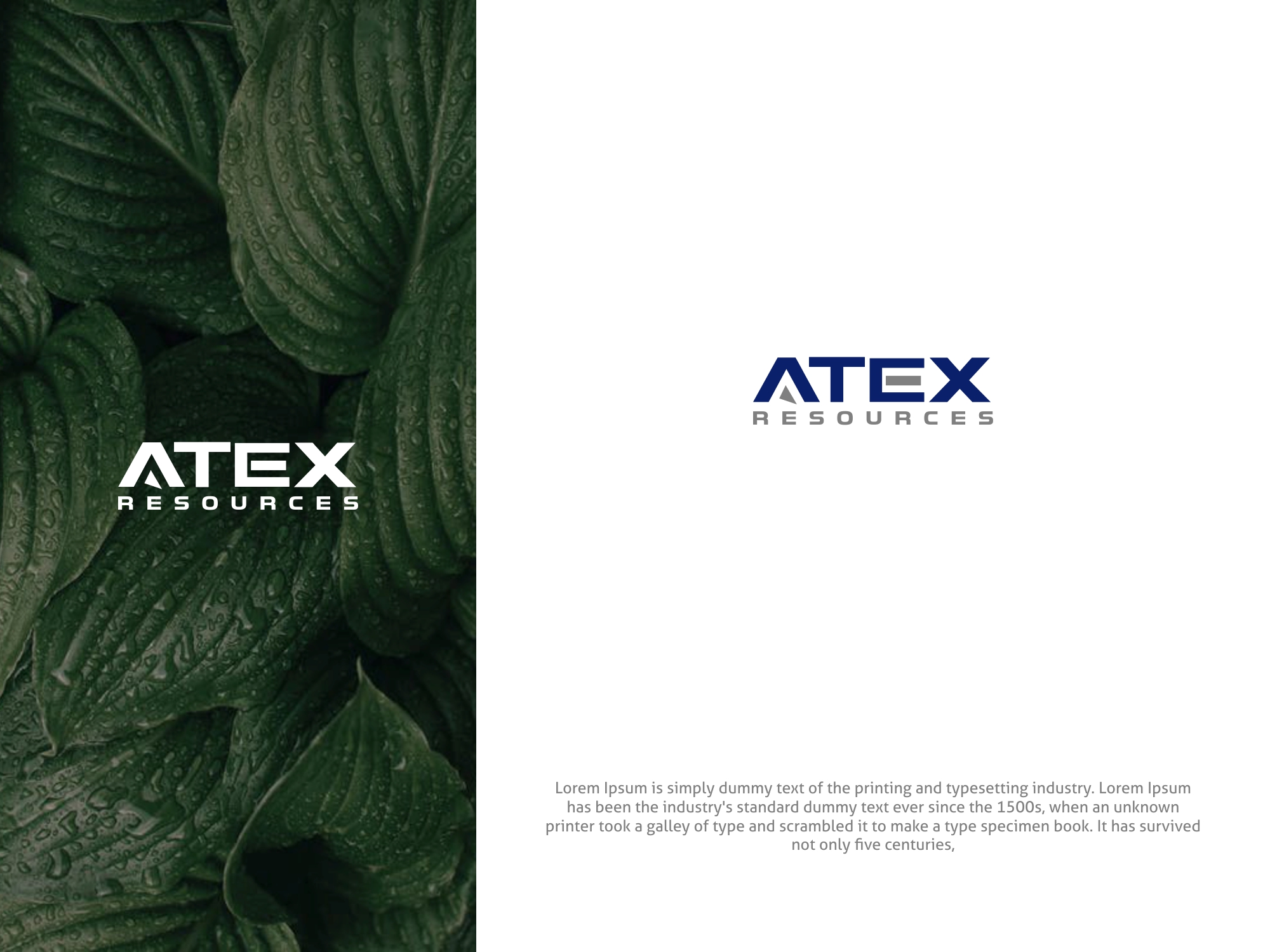 Logo Design by MX LogoArt for this project | Design #29117706