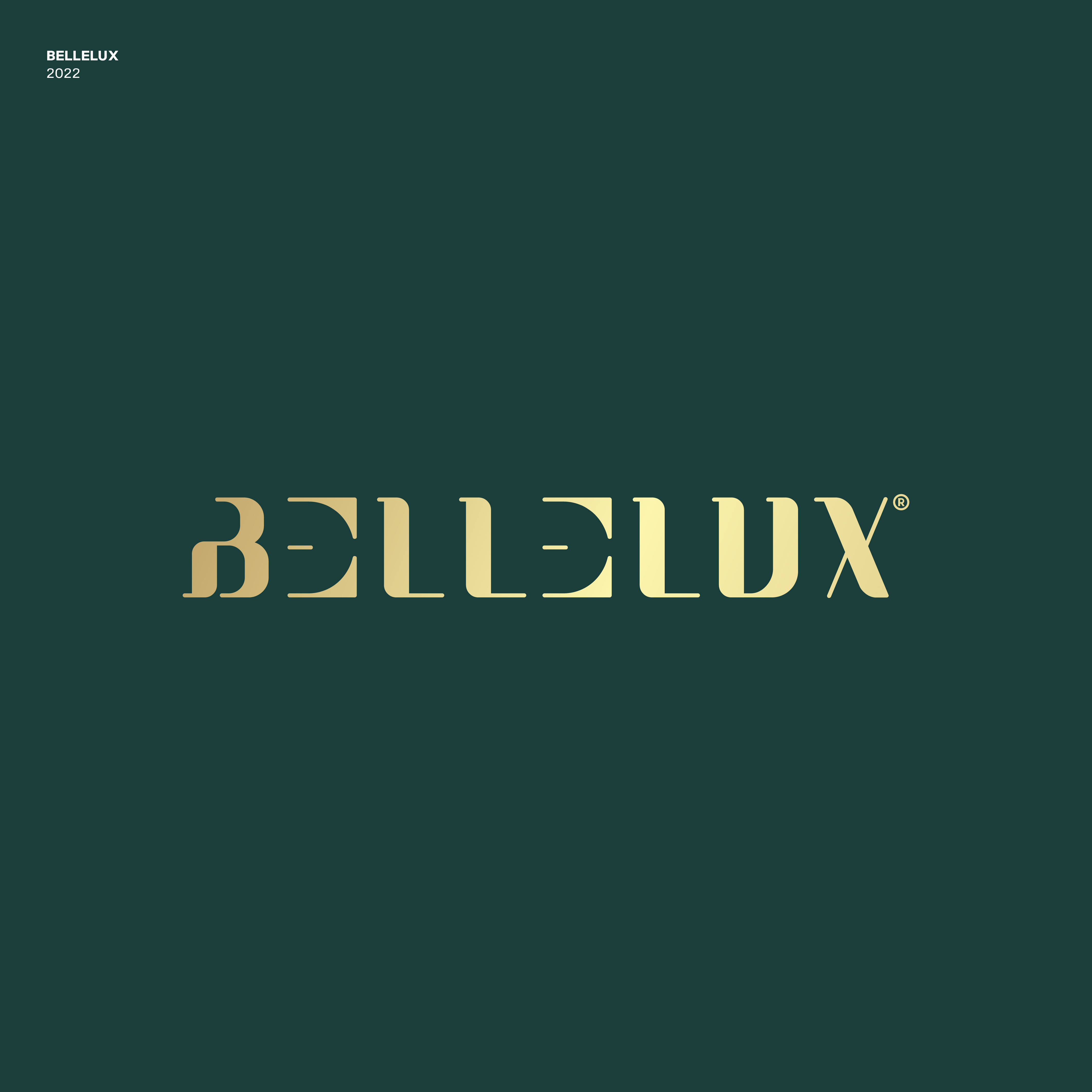 Logo Design by JBalloon Design for this project | Design #29102870