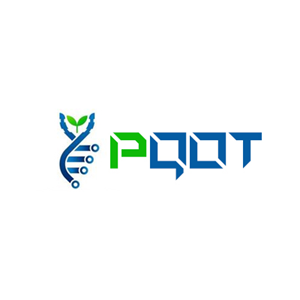 Logo Design by M79 for this project | Design: #29097519