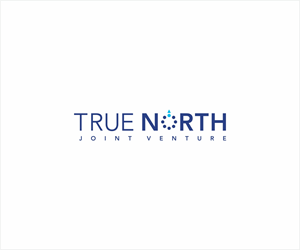TRUE NORTH | Design de Logo par Logocraft