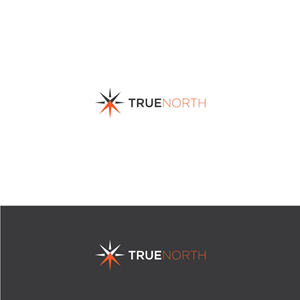 Logo Design by Onerio