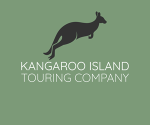 Logo Design by UN