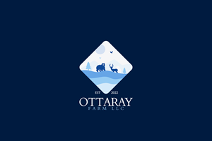 Logo Design by Raheel Dildar