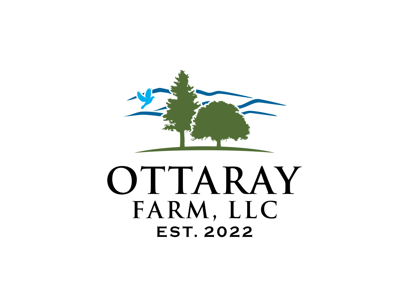 Logo Design by BNdesigner for this project | Design #29122235